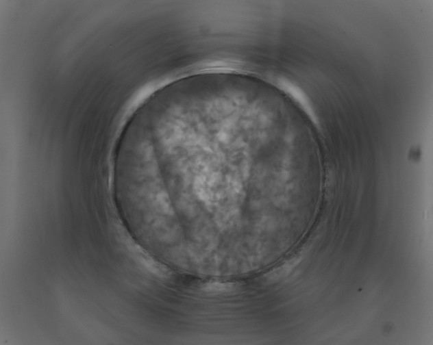 X0000091881419200710031732