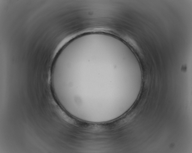 X0000091881420200710031732