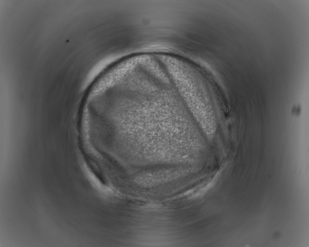 X0000091881422200710031733