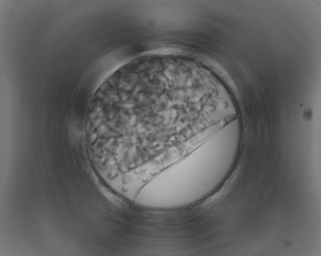 X0000091881425200710031733