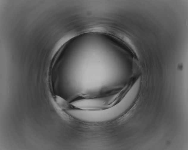 X0000091881426200710031733