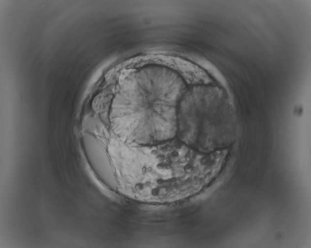 X0000091881429200710031733