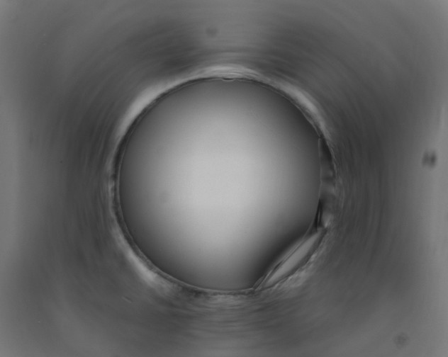 X0000091881430200710031733