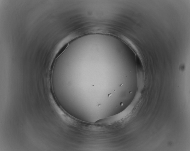 X0000091881434200710031733