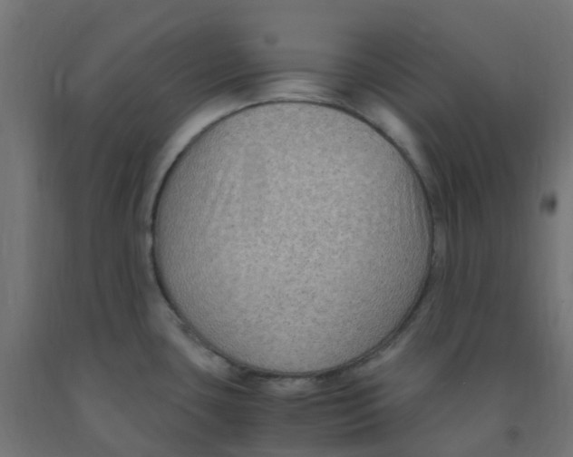 X0000091881435200710031733