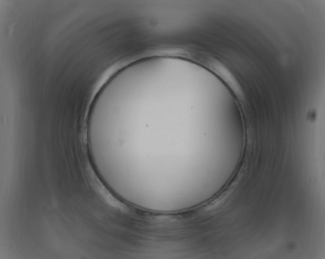 X0000091881436200710031733