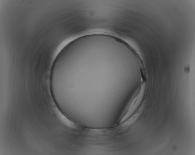 X0000091881438200710031733