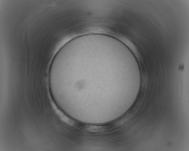 X0000091881439200710031733