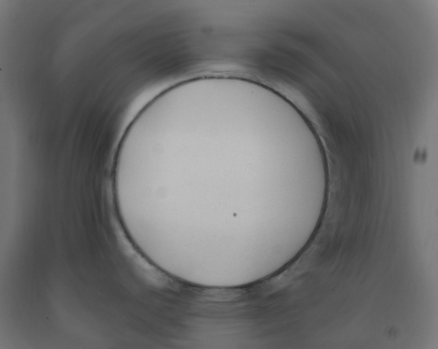 X0000091881440200710031733