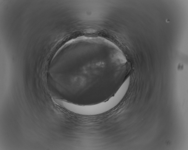 X0000091881441200710031732