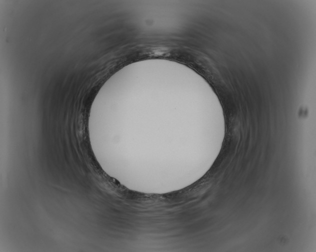 X0000091881442200710031732