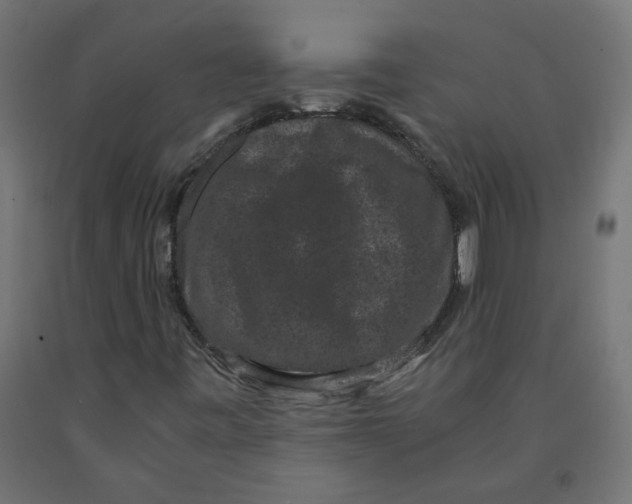 X0000091881443200710031732