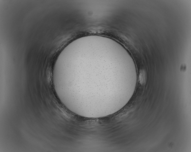 X0000091881444200710031732