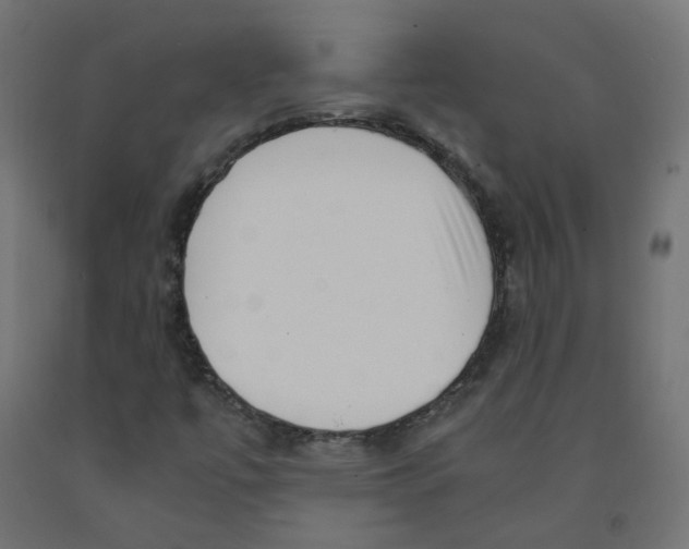 X0000091881447200710031732