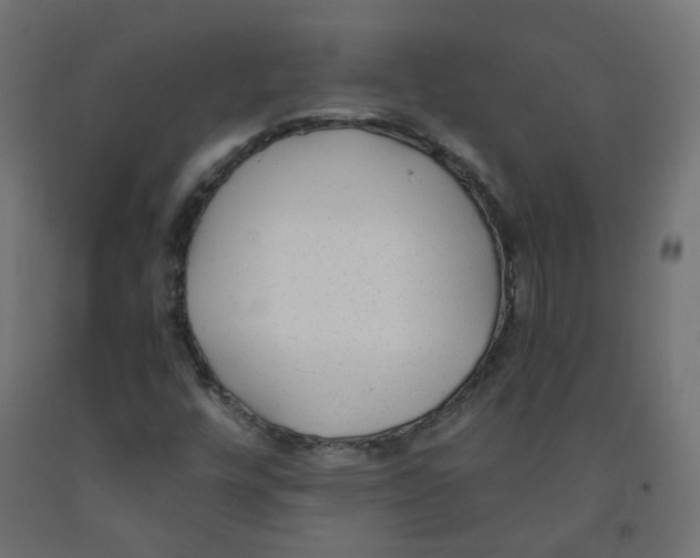 X0000091881448200710031732