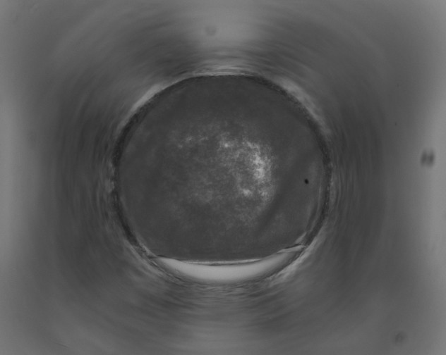 X0000091881449200710031732