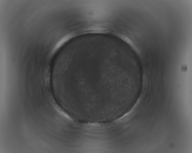 X0000091881450200710031732