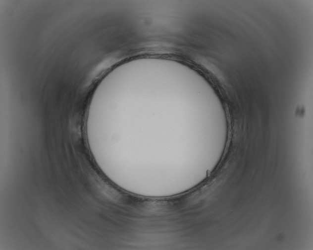 X0000091881451200710031732