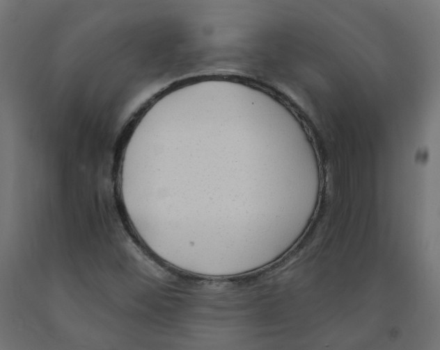 X0000091881452200710031732