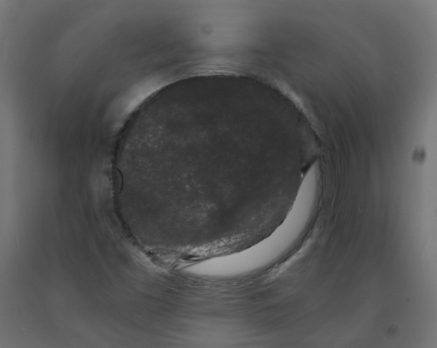 X0000091881453200710031732