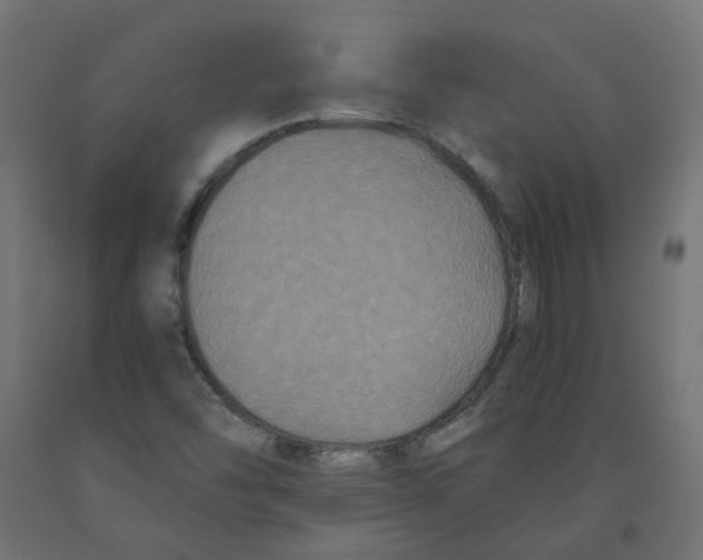 X0000091881454200710031732