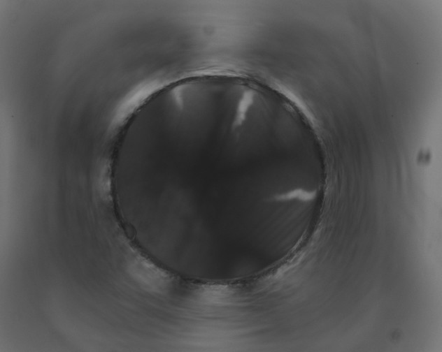 X0000091881455200710031732