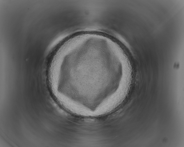 X0000091881456200710031732