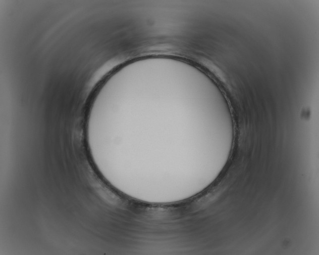 X0000091881458200710031732