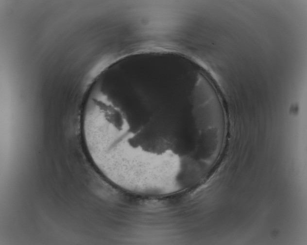 X0000091881459200710031732