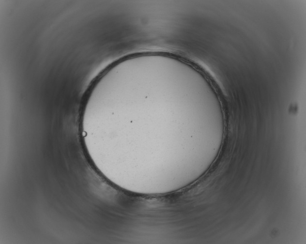 X0000091881460200710031732