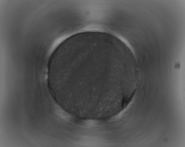 X0000091881461200710031732