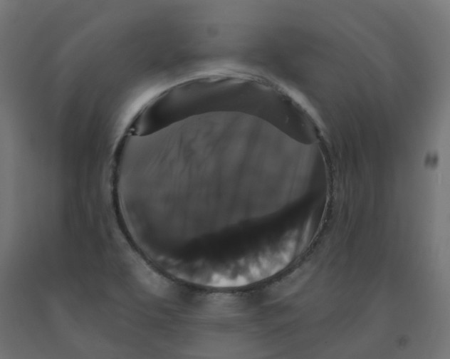 X0000091881463200710031732