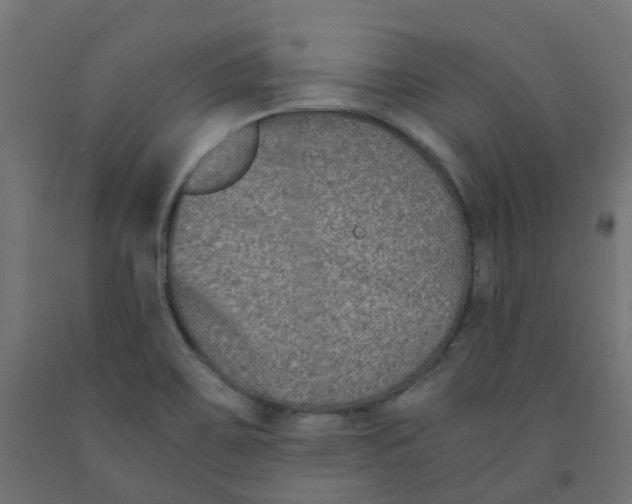 X0000091881467200710031732