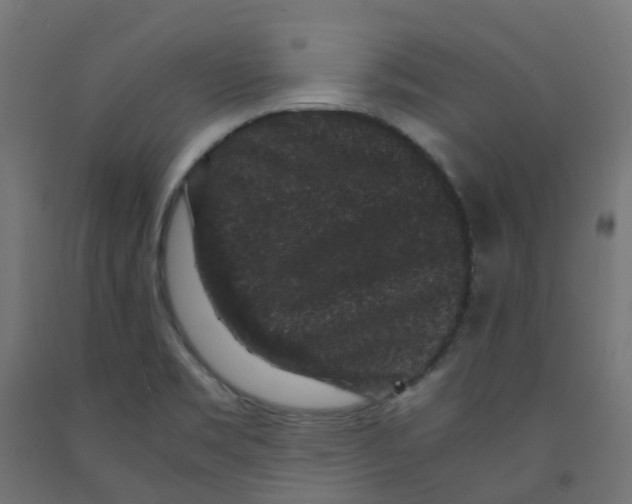 X0000091881469200710031732