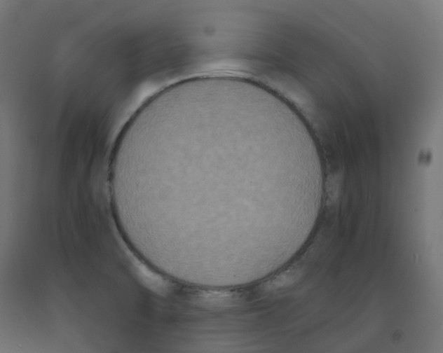 X0000091881470200710031732