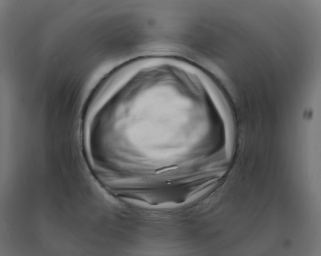 X0000091881472200710031732