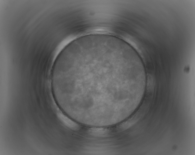 X0000091881474200710031732