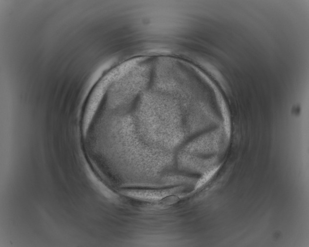 X0000091881475200710031732