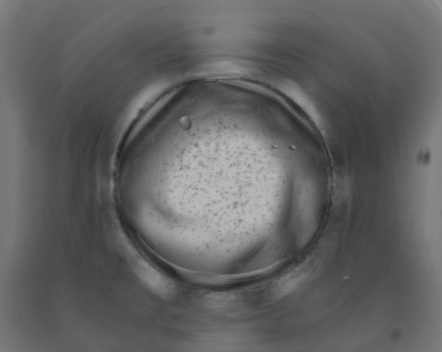 X0000091881477200710031732