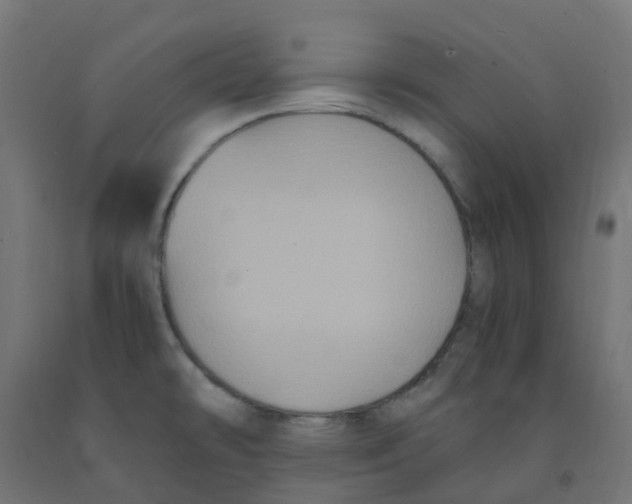 X0000091881478200710031732