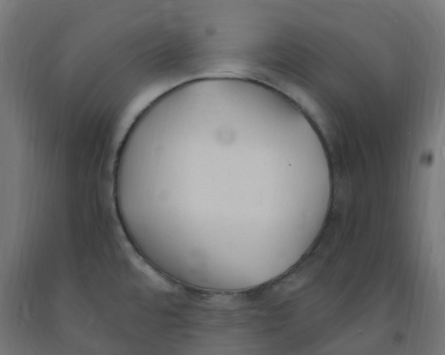 X0000091881480200710031731