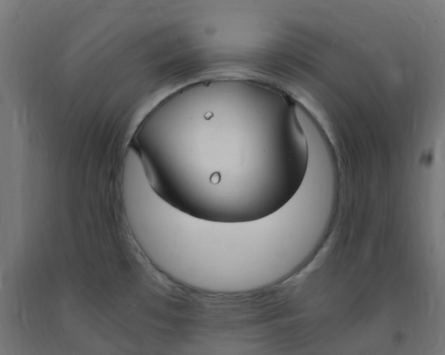 X0000091881481200710031731