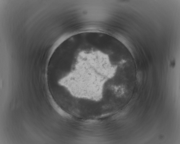 X0000091881482200710031731