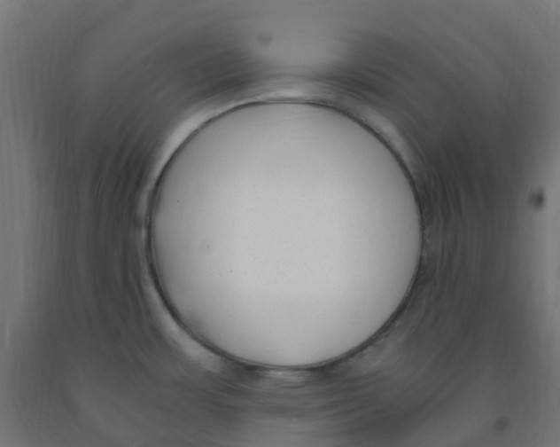 X0000091881483200710031731