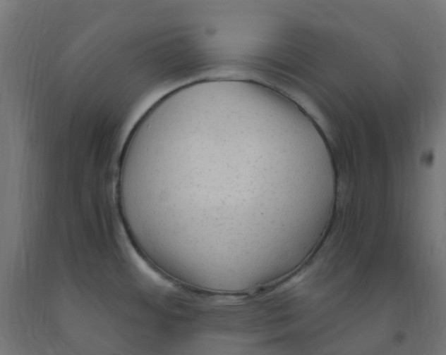 X0000091881484200710031731