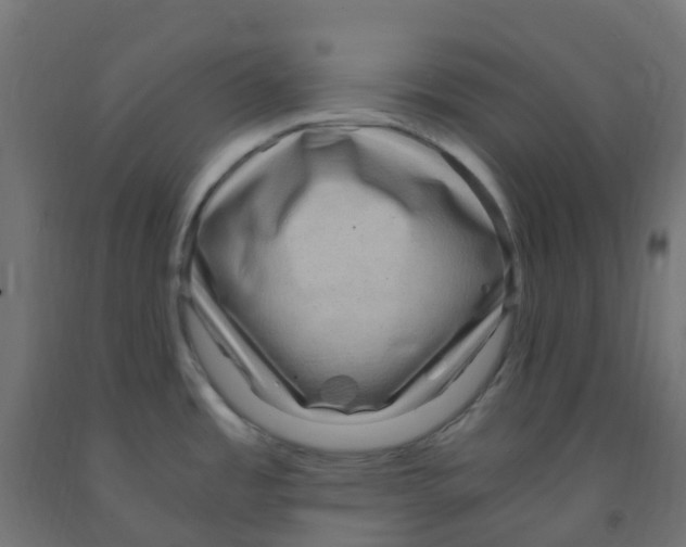 X0000091881485200710031731