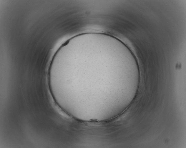 X0000091881488200710031731