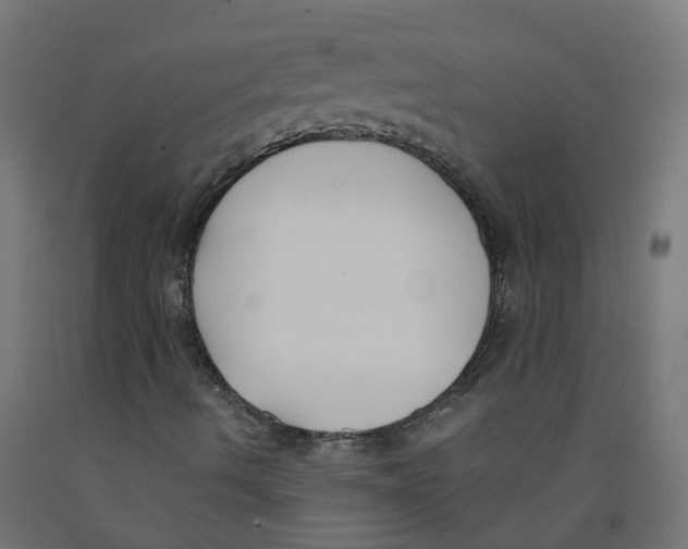 X0000091881490200710031731