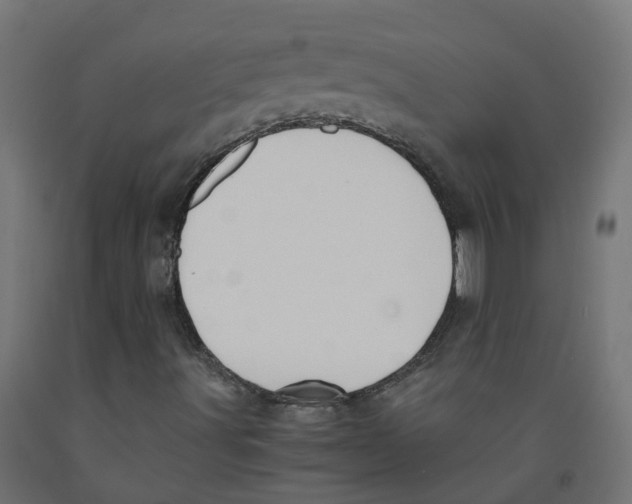 X0000091881491200710031731