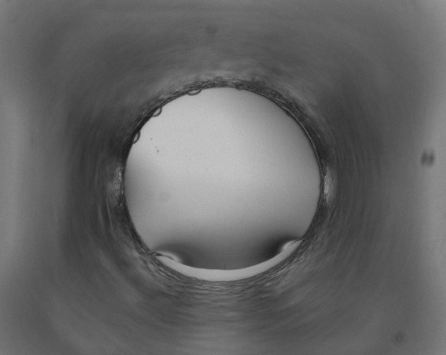 X0000091881492200710031731